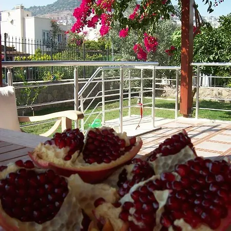Villa Villas Mandalyas
