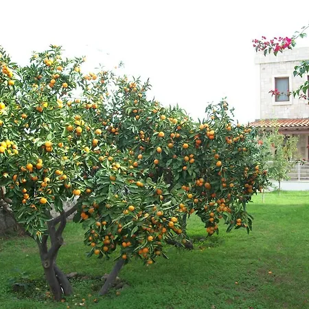 Villas Mandalyas Gundogan (Bodrum)